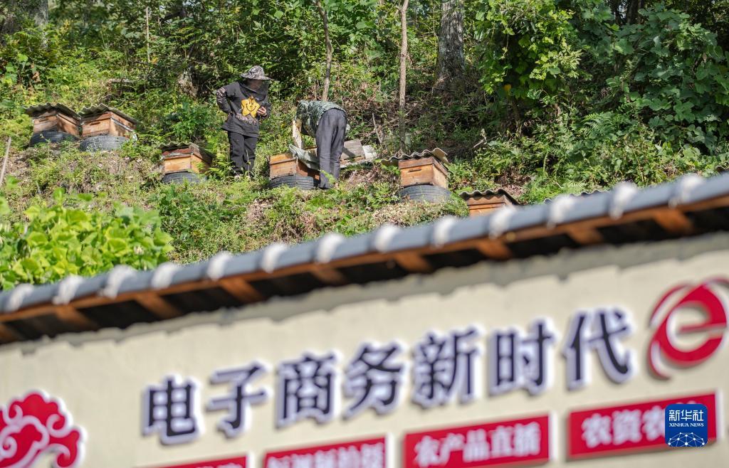 聚缘休闲棋牌